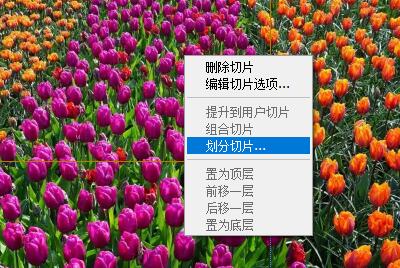 如何在PS中剪切图片