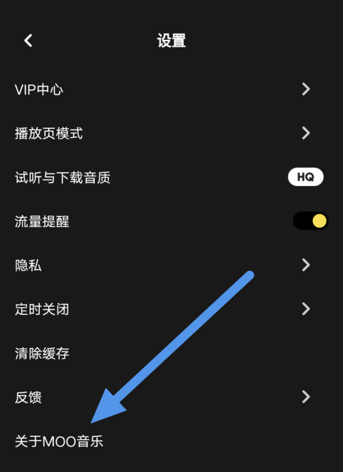 电脑端更新音乐软件