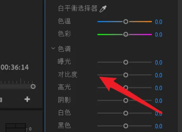 premiere是什么意思