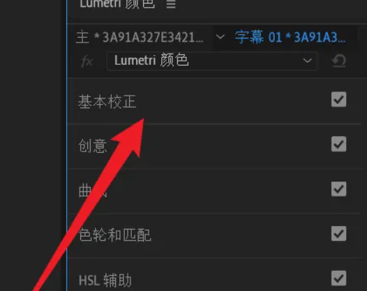 premiere是什么意思