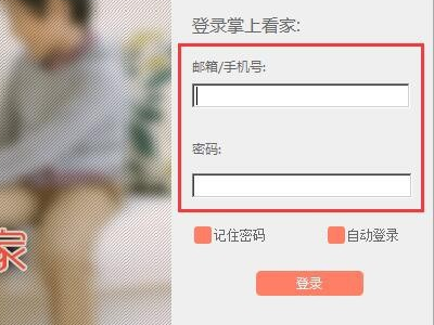 掌上看家在哪设置开机自动运行功能
