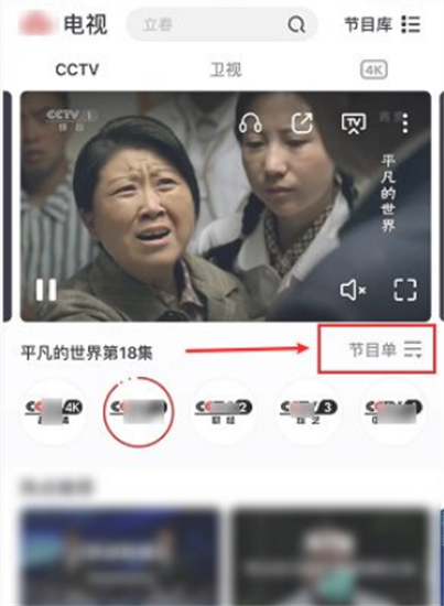 央视节目怎么看回放