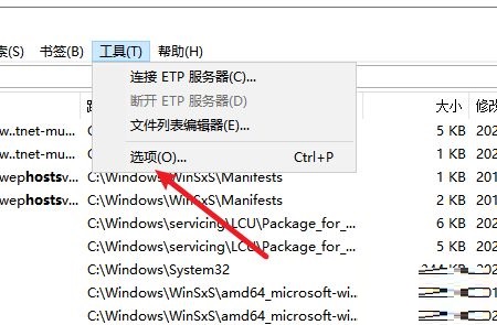 everything软件设置