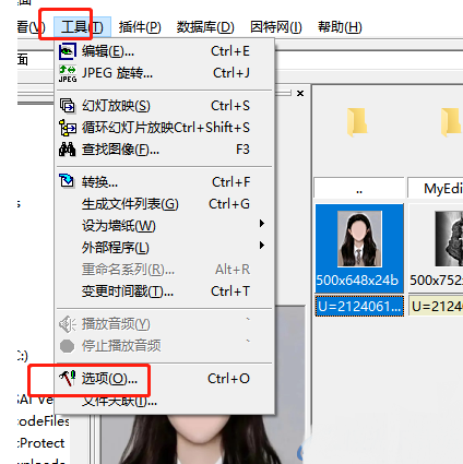 ACDSee看图如何显示隐藏文件(acdsee不显示图片怎么办)