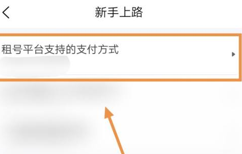 u号租用什么支付