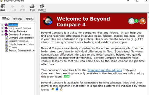 beyond怎么读