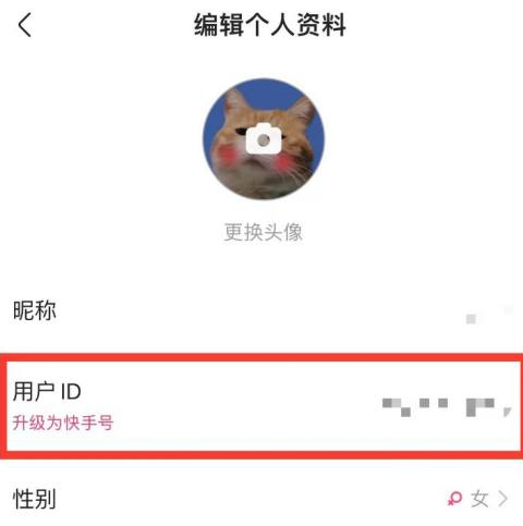 快手设置快手号是什么意思