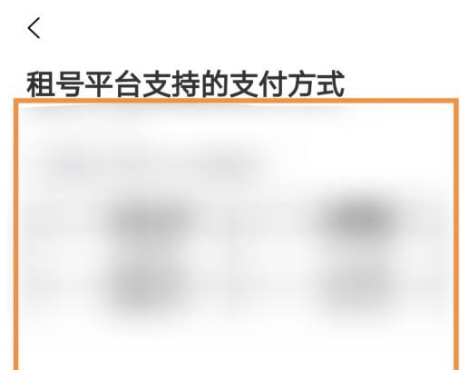 u号租用什么支付