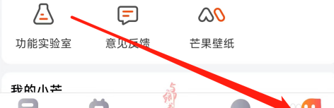芒果会员怎么看