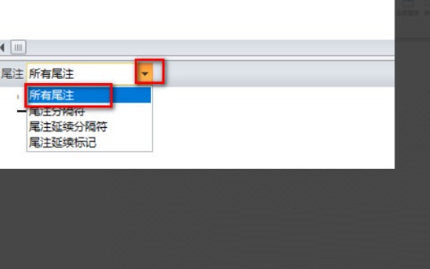 wps删除尾注的横线