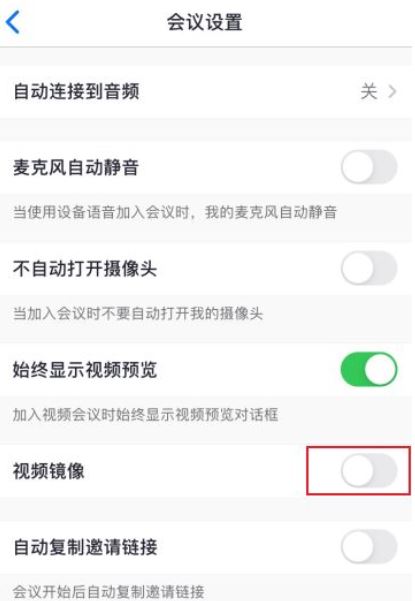 zoom视频镜像什么意思