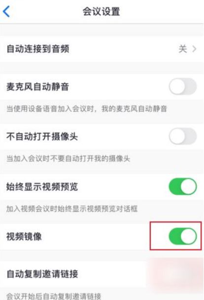 zoom视频镜像什么意思