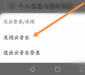 怎样关闭网易云云村