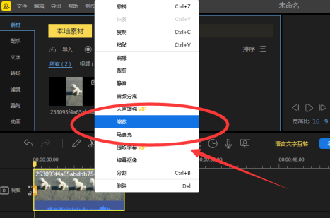 蜜蜂剪辑的缩放在哪