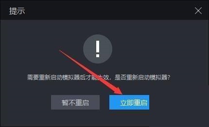 雷电模拟器网络设置干什么用的