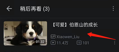 哔哩哔哩稍后再看在哪里