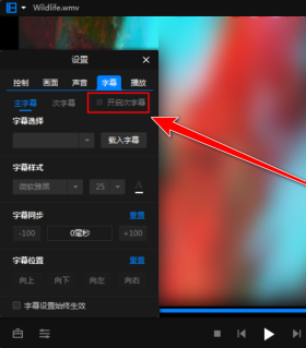 暴风影音app字幕