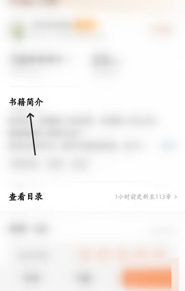 番茄小说怎么看书籍简介