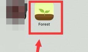 forest怎么一个人种树(forest不能一个人种树吗)