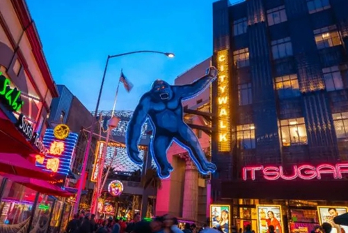 citywalk是什么意思(citywalk隐晦含义)
