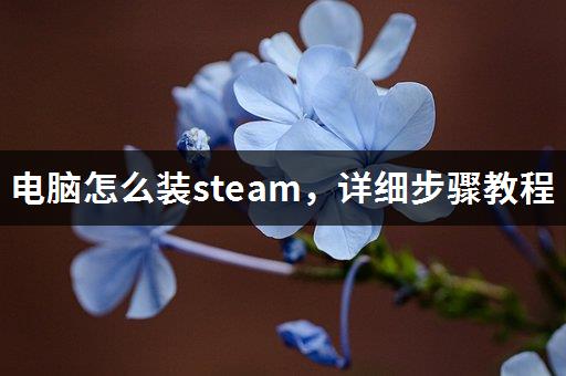 steam怎么安装加速器