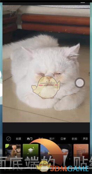 《醒图》导入色卡方法