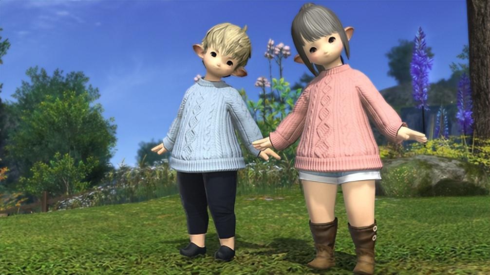 ff14自由探索能带什么
