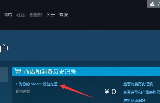 steam余额和充值卡区别介绍