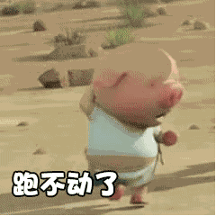 小猪跑步动态图