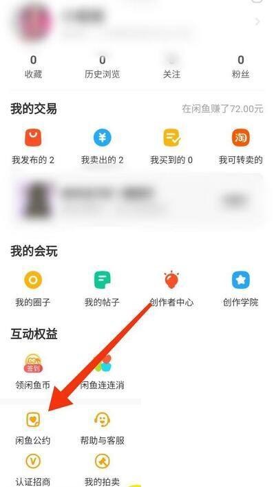 闲鱼 怎么看