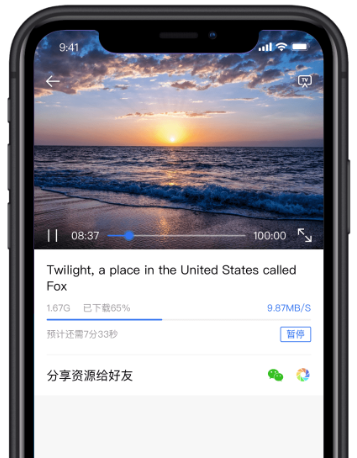 迅雷替代软件