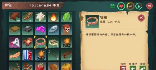 创造与魔法怎么搞家园宠物
