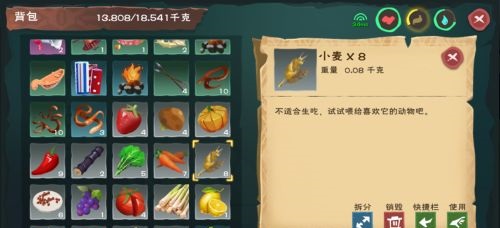 创造与魔法怎么搞家园宠物(创造与魔法怎么弄家园宠物)