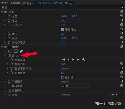 蒙版是什么(ps中的蒙版是什么)