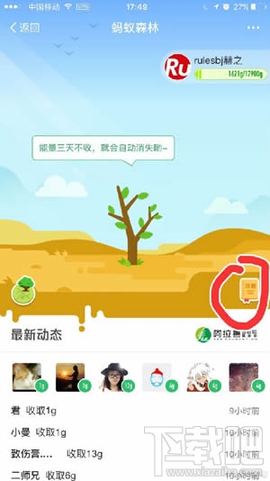 蚂蚁森林钉钉是什么(钉钉森林和蚂蚁森林打通了吗)
