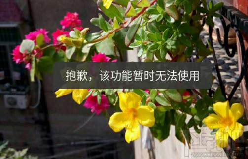 支付宝能换头像了吗(支付宝换头像能换之前头像吗)