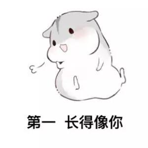 你知道我择偶的标准吗表情包大全