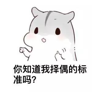 你知道我择偶的标准吗表情包大全(你知道我恋爱)