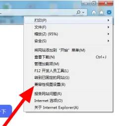 ie9.0