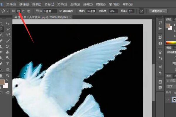 photoshop套索工具怎么用
