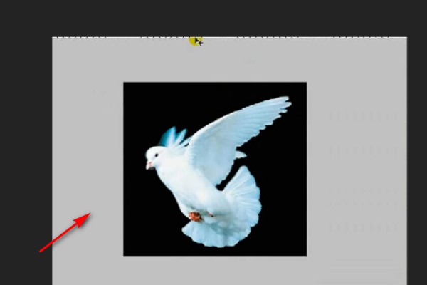 ps套索工具怎么用(photoshop套索工具怎么用)