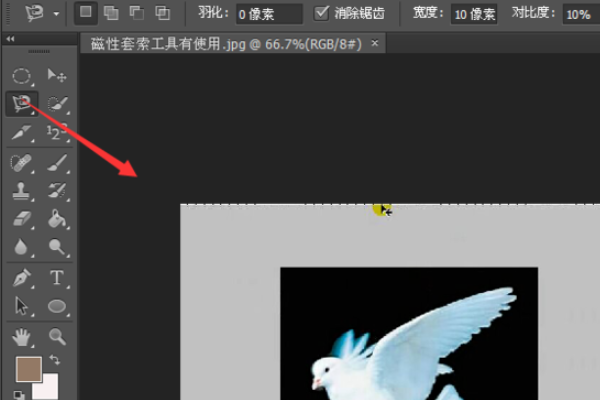 photoshop套索工具怎么用