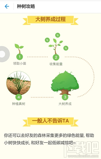 支付宝蚂蚁森林种树有什么用