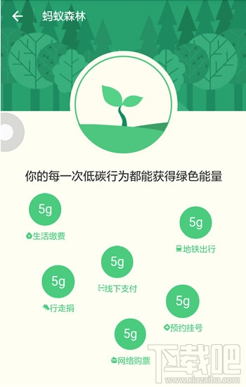 支付宝蚂蚁森林种树有什么用