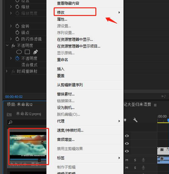 premierepro怎么读