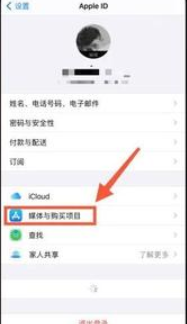 苹果允许app请求跟踪什么意思