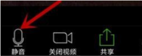 zoom视频会议如何关闭我的麦克风功能
